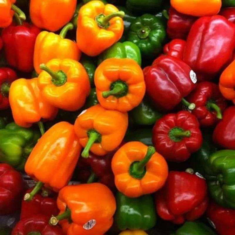 Peppers (Green/Red/Yellow/Orange/Mix)