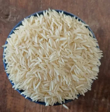 Rice