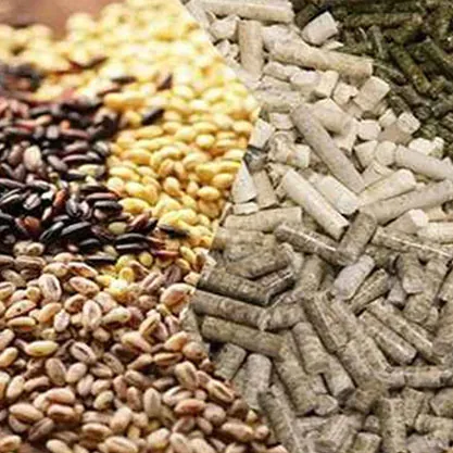 All Animal Feed