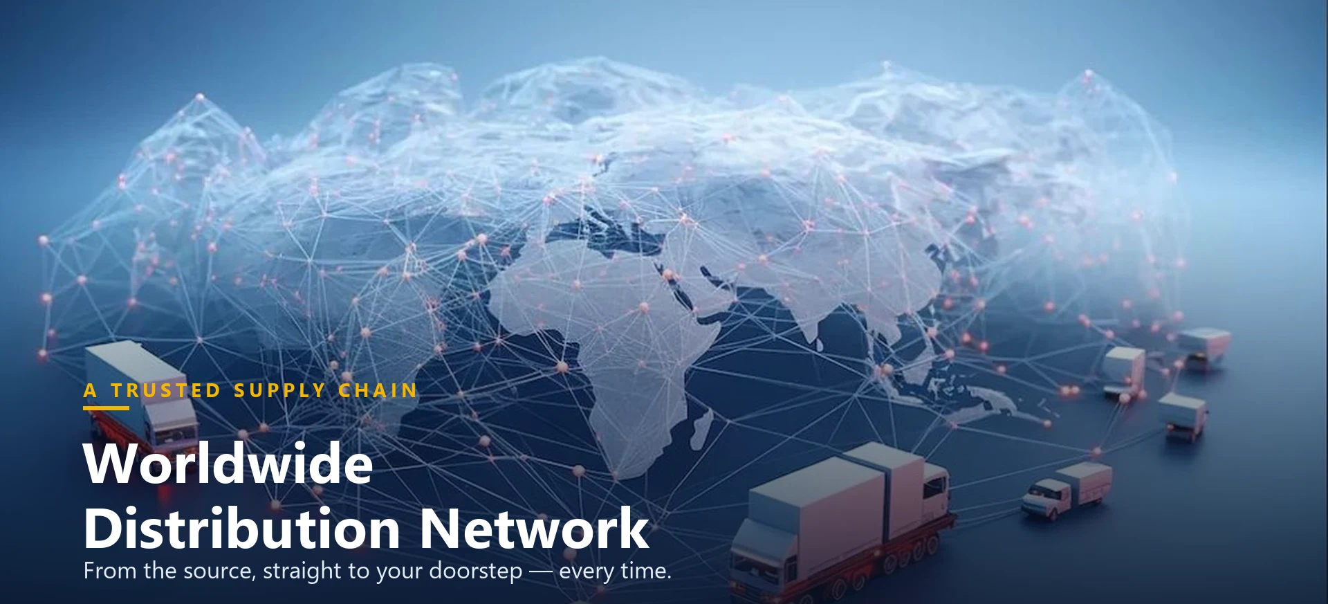 Worldwide Distribution Network